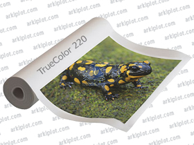 TrueColor 220g 0,610x30m