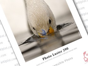 Hahnemühle Photo Luster 290g