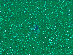 POLI-FLEX Image 0,50mx1m "437 Glitter Green"